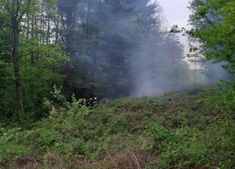 Vatrogasci gasili požar šume u Šestak Brdu, jak vjetar srušio drvo na dalekovod