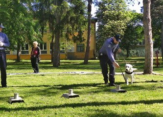 FOTO: Velika Gorica domaćin Međunarodne izložbe pasa, posjetitelji imaju prilike vidjeti sve pasmine retrivera