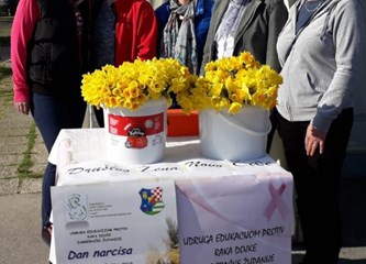 Narcis za kunu s ciljem osvještavanja javnosti o raku i potpore oboljelima
