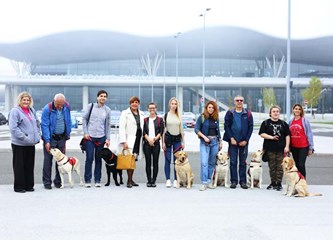 Labradori mamili osmijehe putnika: U terminalu Zračne luke održan trening pasa pomagača