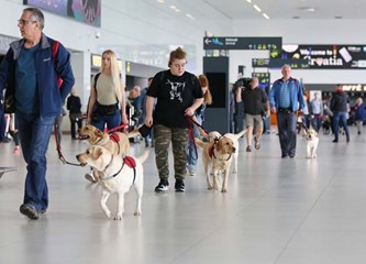Labradori mamili osmijehe putnika: U terminalu Zračne luke održan trening pasa pomagača