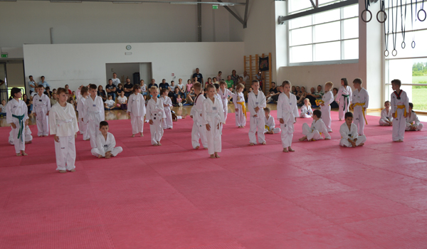 tkd velika 5.jpg