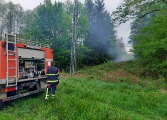 Vatrogasci gasili požar šume u Šestak Brdu, jak vjetar srušio drvo na dalekovod
