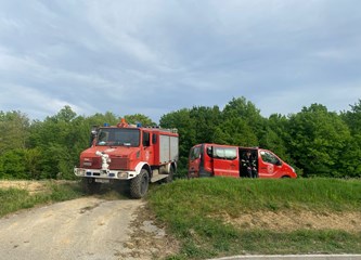 Vatrogasci gasili požar šume u Šestak Brdu, jak vjetar srušio drvo na dalekovod