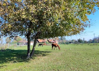 FOTO Krijes gorio, roštilj se pekao: Jurjevo u Bapču okupilo brojne mještane i drage goste