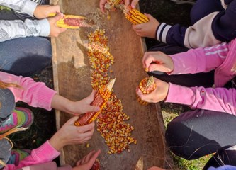Edukativne radionice u Etno naselju Novo Čiče: Mjesto gdje djeca uče, istražuju i stvaraju uspomene za cijeli život