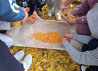 Edukativne radionice u Etno naselju Novo Čiče: Mjesto gdje djeca uče, istražuju i stvaraju uspomene za cijeli život