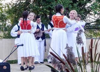 Narodne nošnje, pjesma, ples i zaprege u Veleševcu