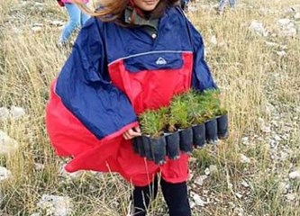 Turovci na Mosoru zasadili 1500 sadnica bora i javora