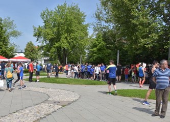 Kroz pet različitih utrka održana 27. Turopoljska trka