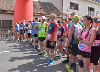 Kroz pet različitih utrka održana 27. Turopoljska trka