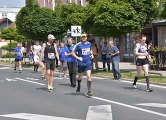 Kroz pet različitih utrka održana 27. Turopoljska trka
