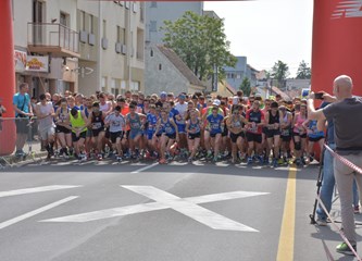 Kroz pet različitih utrka održana 27. Turopoljska trka