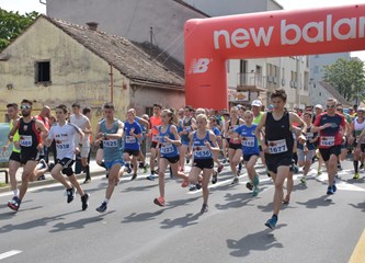 Kroz pet različitih utrka održana 27. Turopoljska trka