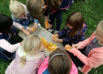 Osnovnoškolci oduševljeni Etno naseljem: Učili obrađivati zemlju, sijali kukuruz pa zamijesili i kruh!