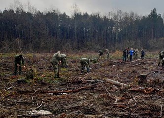 Vojska, šumari, građani u akciji pošumljavanja: Zasadili 3000 sadnica hrasta lužnjaka