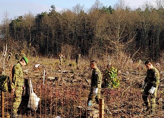 Vojska, šumari, građani u akciji pošumljavanja: Zasadili 3000 sadnica hrasta lužnjaka
