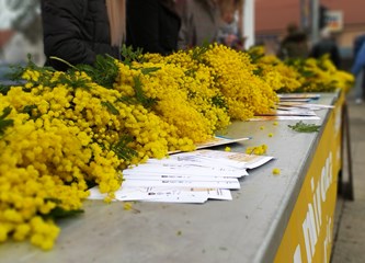 Obilježavanje Dana mimoza: Poliklinika Zahi sugrađankama daje 100 kuna popusta pri pregledu