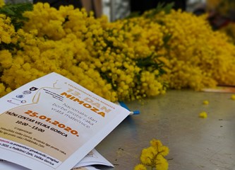 Obilježavanje Dana mimoza: Poliklinika Zahi sugrađankama daje 100 kuna popusta pri pregledu