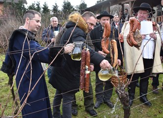 Okitili trsek kobasama pa ga zalili vinom: Na padinama Kostanjevca vinogradari proslavili Vincekovo