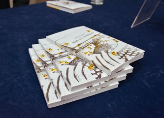 Ista bolest oduzela joj je, a zatim i vratila pisanje te joj ostavila blagu opomenu zbog koje se često pita 'Kud je krenula'