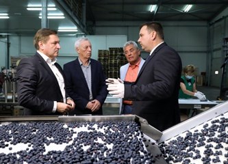 Distributivni centar za voće i povrće u Rakitovcu ima najmoderniji stroj za sortiranje jagodastog voća