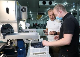 Distributivni centar za voće i povrće u Rakitovcu ima najmoderniji stroj za sortiranje jagodastog voća