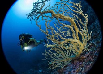 Kristina iz SOS Dječjeg sela Lekenik u finalu za svjetsku nagradu Herman Gmeiner Award