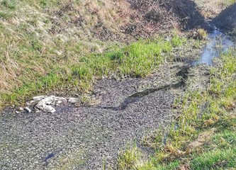 Mještani se žale na fekalije u Želinu, iz VG Vodopskrbe poručili: "To su mješovite vode"