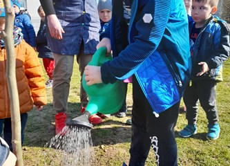 FOTO: Djeca i djelatnici "Lojtrice" zajedno u sadnji stabala