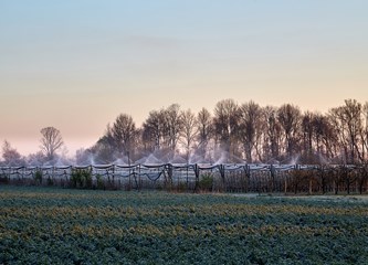 FOTO Jasminko je orošavanjem uspio spasiti svoje voćke od mraza, ali ne i od ljudske zloće