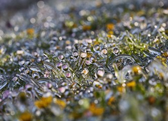 FOTO Jasminko je orošavanjem uspio spasiti svoje voćke od mraza, ali ne i od ljudske zloće
