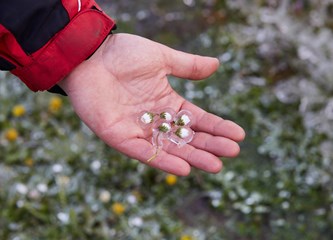 FOTO Jasminko je orošavanjem uspio spasiti svoje voćke od mraza, ali ne i od ljudske zloće