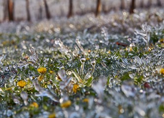 FOTO Jasminko je orošavanjem uspio spasiti svoje voćke od mraza, ali ne i od ljudske zloće