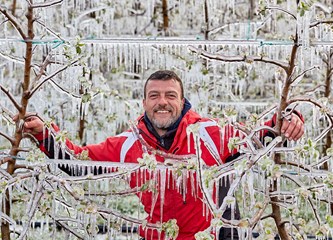 FOTO Jasminko je orošavanjem uspio spasiti svoje voćke od mraza, ali ne i od ljudske zloće