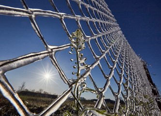 FOTO Jasminko je orošavanjem uspio spasiti svoje voćke od mraza, ali ne i od ljudske zloće