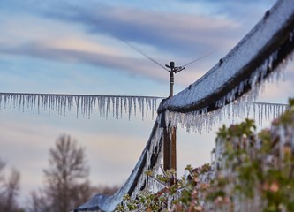 FOTO Jasminko je orošavanjem uspio spasiti svoje voćke od mraza, ali ne i od ljudske zloće