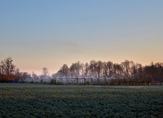 FOTO Jasminko je orošavanjem uspio spasiti svoje voćke od mraza, ali ne i od ljudske zloće