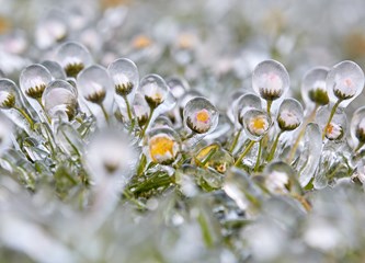 FOTO Jasminko je orošavanjem uspio spasiti svoje voćke od mraza, ali ne i od ljudske zloće