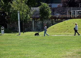 Djeca, mladi, odrasli, pa i psi - svi obožavaju Tuđmanac, no žele još parkova i zelenila u Velikoj Gorici