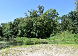 Selečki most konačno ide u izgradnju! Turopolje i Posavina opet će se povezati, a evo kako će izgledati