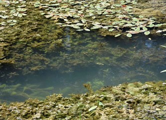 Selečki most konačno ide u izgradnju! Turopolje i Posavina opet će se povezati, a evo kako će izgledati