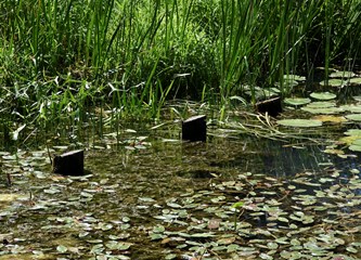Selečki most konačno ide u izgradnju! Turopolje i Posavina opet će se povezati, a evo kako će izgledati