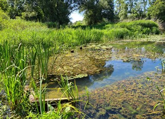 Selečki most konačno ide u izgradnju! Turopolje i Posavina opet će se povezati, a evo kako će izgledati