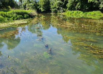 Selečki most konačno ide u izgradnju! Turopolje i Posavina opet će se povezati, a evo kako će izgledati