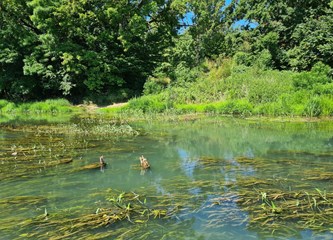 Selečki most konačno ide u izgradnju! Turopolje i Posavina opet će se povezati, a evo kako će izgledati