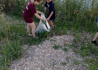 DVD Novo Čiče u akciji protiv ambrozije: Cilj je u potpunosti suzbiti taj opasan alergen!