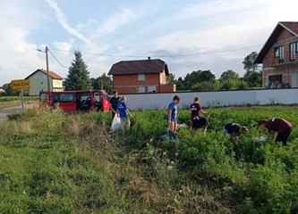 DVD Novo Čiče u akciji protiv ambrozije: Cilj je u potpunosti suzbiti taj opasan alergen!