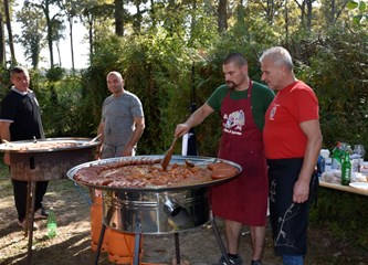 FOTO: Žirovina bogatija programom i sadržajem, no hrastove šume, na žalost, sve siromašnije plodovima