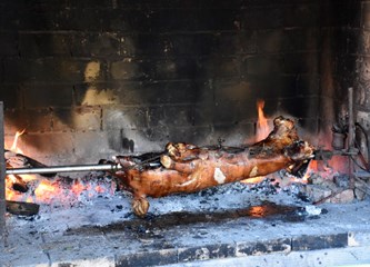 FOTO: Žirovina bogatija programom i sadržajem, no hrastove šume, na žalost, sve siromašnije plodovima